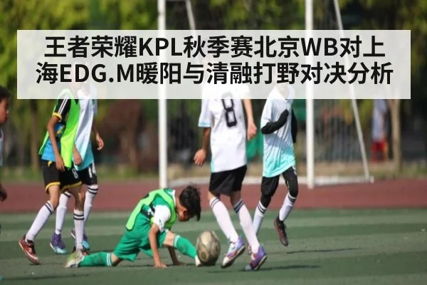 王者荣耀KPL秋季赛北京WB对上海EDG.M暖阳与清融打野对决分析
